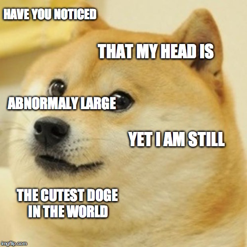 Doge | HAVE YOU NOTICED YET I AM STILL THAT MY HEAD IS ABNORMALY LARGE THE CUTEST DOGE IN THE WORLD | image tagged in memes,doge | made w/ Imgflip meme maker