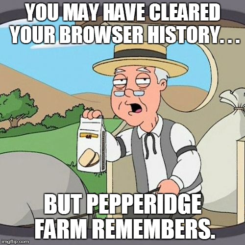 Pepperidge Farm Remembers | YOU MAY HAVE CLEARED YOUR BROWSER HISTORY. . . BUT PEPPERIDGE FARM REMEMBERS. | image tagged in memes,pepperidge farm remembers | made w/ Imgflip meme maker