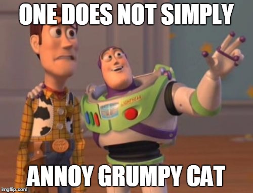 X, X Everywhere Meme | ONE DOES NOT SIMPLY ANNOY GRUMPY CAT | image tagged in memes,x x everywhere | made w/ Imgflip meme maker