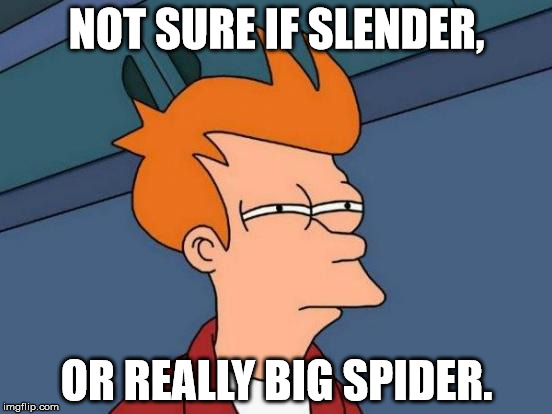 I looked at a picture of slender and I was like: | NOT SURE IF SLENDER, OR REALLY BIG SPIDER. | image tagged in memes,futurama fry | made w/ Imgflip meme maker