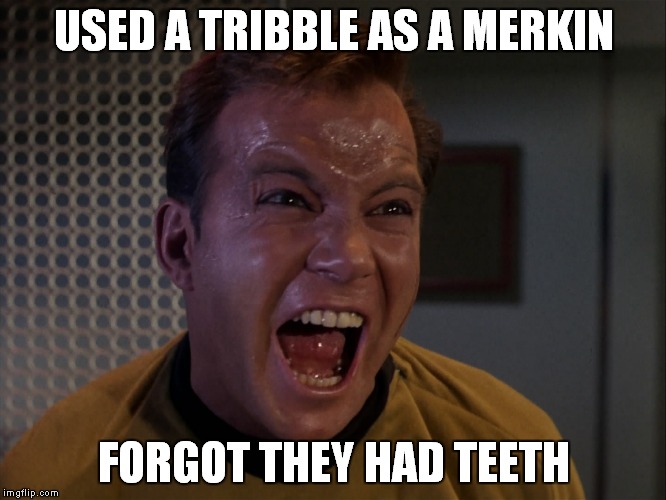 Kirk Merkin | USED A TRIBBLE AS A MERKIN FORGOT THEY HAD TEETH | image tagged in star trek | made w/ Imgflip meme maker