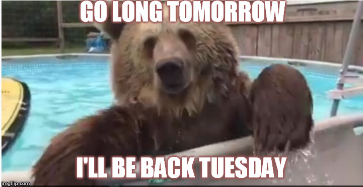 Bear market | GO LONG TOMORROW I'LL BE BACK TUESDAY | image tagged in bear | made w/ Imgflip meme maker