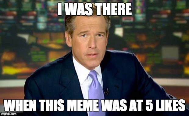 Brian Williams Was There Meme | I WAS THERE WHEN THIS MEME WAS AT 5 LIKES | image tagged in memes,brian williams was there | made w/ Imgflip meme maker