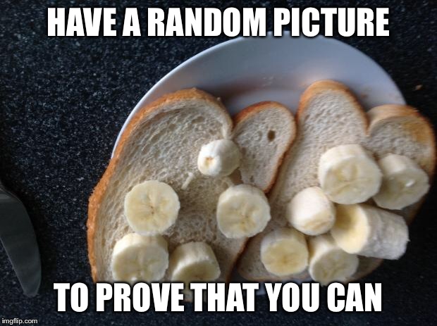Banana bread | HAVE A RANDOM PICTURE TO PROVE THAT YOU CAN | image tagged in banana bread | made w/ Imgflip meme maker