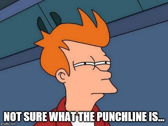 Futurama Fry Meme | NOT SURE WHAT THE PUNCHLINE IS... | image tagged in memes,futurama fry | made w/ Imgflip meme maker