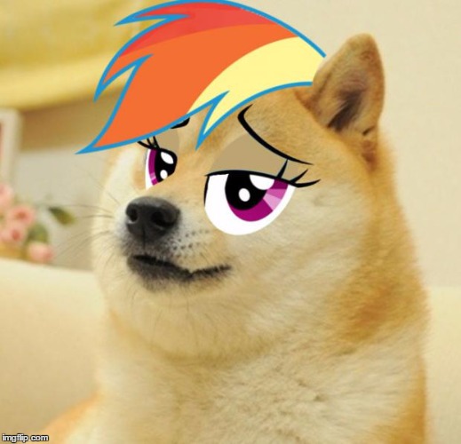 Rainbow Doge | image tagged in rainbow doge | made w/ Imgflip meme maker