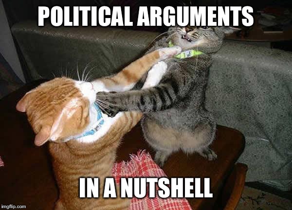 Two cats fighting for real | POLITICAL ARGUMENTS IN A NUTSHELL | image tagged in two cats fighting for real | made w/ Imgflip meme maker
