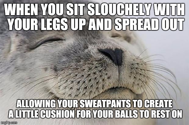 Satisfied Seal Meme | WHEN YOU SIT SLOUCHELY WITH YOUR LEGS UP AND SPREAD OUT ALLOWING YOUR SWEATPANTS TO CREATE A LITTLE CUSHION FOR YOUR BALLS TO REST ON | image tagged in memes,satisfied seal | made w/ Imgflip meme maker