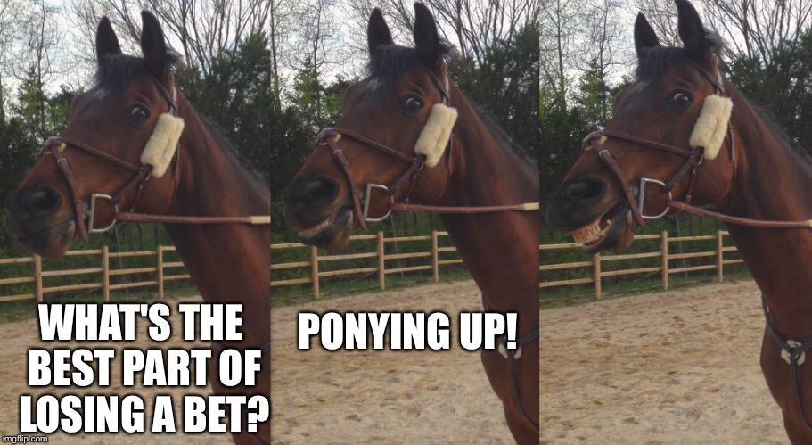 Ponying Up | WHAT'S THE BEST PART OF LOSING A BET? PONYING UP! | image tagged in horses,puns,pony | made w/ Imgflip meme maker