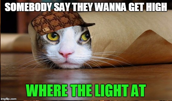 smoke err day | SOMEBODY SAY THEY WANNA GET HIGH WHERE THE LIGHT AT | image tagged in and this is where i'd put my  if i had one | made w/ Imgflip meme maker