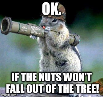 Bazooka Squirrel | OK. IF THE NUTS WON'T FALL OUT OF THE TREE! | image tagged in memes,bazooka squirrel | made w/ Imgflip meme maker