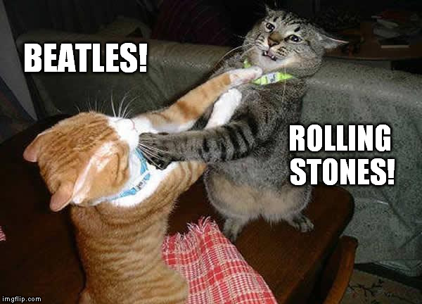 Two cats fighting for real | BEATLES! ROLLING STONES! | image tagged in two cats fighting for real | made w/ Imgflip meme maker