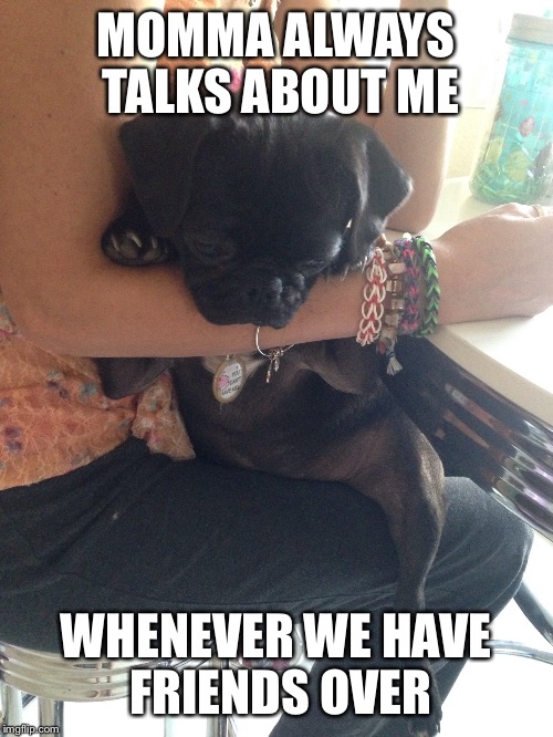 MOMMA ALWAYS TALKS ABOUT ME WHENEVER WE HAVE FRIENDS OVER | image tagged in cute puppies | made w/ Imgflip meme maker