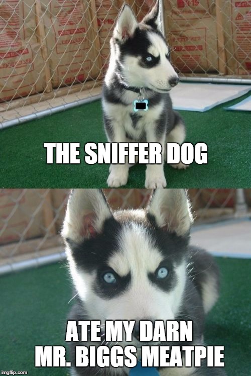 Insanity Puppy Meme | THE SNIFFER DOG ATE MY DARN MR. BIGGS MEATPIE | image tagged in memes,insanity puppy | made w/ Imgflip meme maker