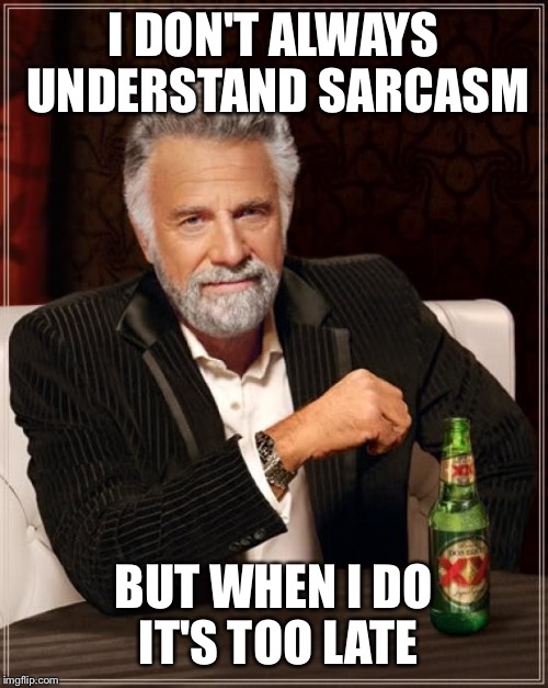 The Most Interesting Man In The World | I DON'T ALWAYS UNDERSTAND SARCASM BUT WHEN I DO IT'S TOO LATE | image tagged in memes,the most interesting man in the world | made w/ Imgflip meme maker