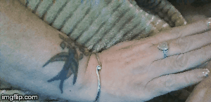 kates tat | image tagged in gifs,tattoo | made w/ Imgflip images-to-gif maker