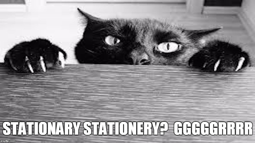 STATIONARY STATIONERY?  GGGGGRRRR | made w/ Imgflip meme maker
