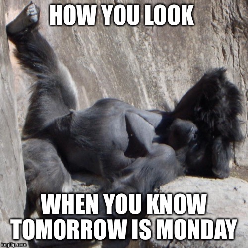 HOW YOU LOOK WHEN YOU KNOW TOMORROW IS MONDAY | image tagged in monday | made w/ Imgflip meme maker