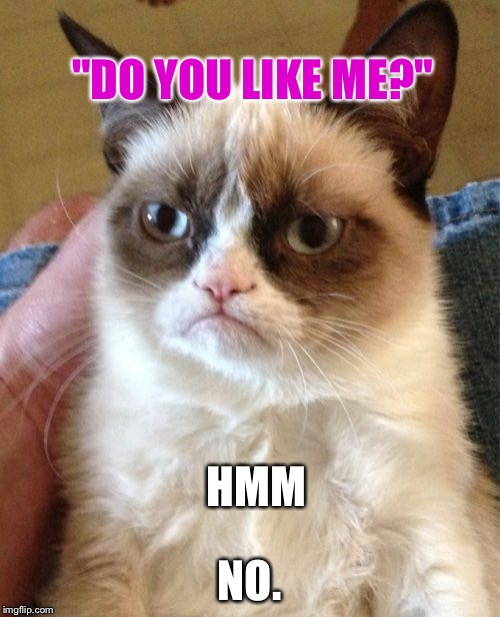 Grumpy Cat | HMM NO. "DO YOU LIKE ME?" | image tagged in memes,grumpy cat | made w/ Imgflip meme maker