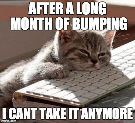 tired cat | AFTER A LONG MONTH OF BUMPING I CANT TAKE IT ANYMORE | image tagged in tired cat | made w/ Imgflip meme maker