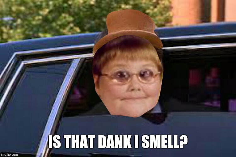 IS THAT DANK I SMELL? | image tagged in just here for my | made w/ Imgflip meme maker