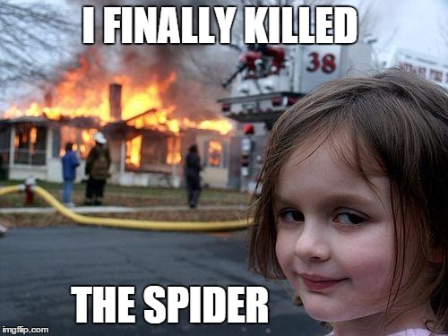 Disaster Girl | I FINALLY KILLED THE SPIDER | image tagged in memes,disaster girl | made w/ Imgflip meme maker