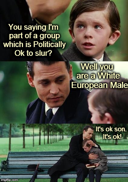 Finding Neverland | You saying I'm part of a group which is Politically Ok to slur? Well you are a White  European Male It's ok son. It's ok! | image tagged in memes,finding neverland | made w/ Imgflip meme maker