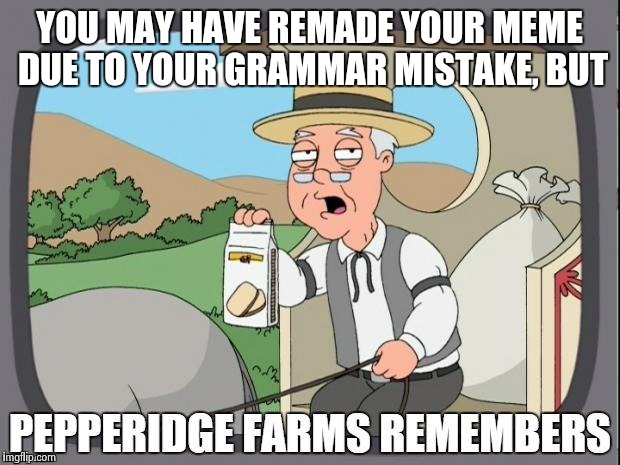 YOU MAY HAVE REMADE YOUR MEME DUE TO YOUR GRAMMAR MISTAKE, BUT | made w/ Imgflip meme maker