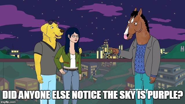DID ANYONE ELSE NOTICE THE SKY IS PURPLE? | image tagged in BoJackHorseman | made w/ Imgflip meme maker