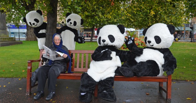 High Quality panda bears in edinburgh mocking and clocking Blank Meme Template