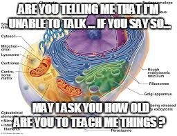 ARE YOU TELLING ME THAT I'M UNABLE TO TALK ... IF YOU SAY SO... MAY I ASK YOU HOW OLD ARE YOU TO TEACH ME THINGS ? | made w/ Imgflip meme maker