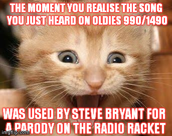 Excited Cat | THE MOMENT YOU REALISE THE SONG YOU JUST HEARD ON OLDIES 990/1490 WAS USED BY STEVE BRYANT FOR A PARODY ON THE RADIO RACKET | image tagged in memes,excited cat | made w/ Imgflip meme maker