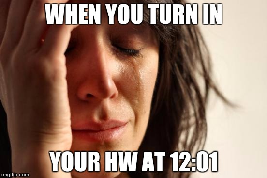 First World Problems Meme | WHEN YOU TURN IN YOUR HW AT 12:01 | image tagged in memes,first world problems | made w/ Imgflip meme maker