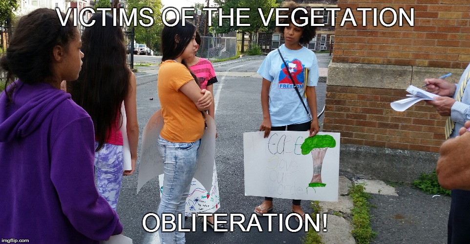 CATHE'S CHILDREN CRUSADE | VICTIMS OF THE VEGETATION OBLITERATION! | image tagged in children,crusade,school | made w/ Imgflip meme maker