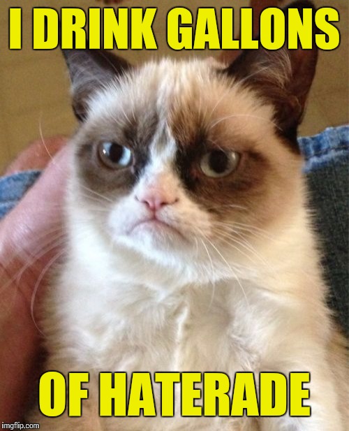Grumpy Cat Meme | I DRINK GALLONS OF HATERADE | image tagged in memes,grumpy cat | made w/ Imgflip meme maker