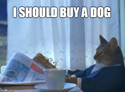 I Should Buy A Boat Cat Meme | I SHOULD BUY A DOG | image tagged in memes,i should buy a boat cat | made w/ Imgflip meme maker