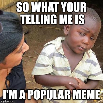 Third World Skeptical Kid | SO WHAT YOUR TELLING ME IS I'M A POPULAR MEME | image tagged in memes,third world skeptical kid | made w/ Imgflip meme maker