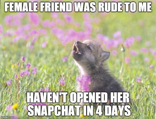 Baby Insanity Wolf Meme | FEMALE FRIEND WAS RUDE TO ME HAVEN'T OPENED HER SNAPCHAT IN 4 DAYS | image tagged in memes,baby insanity wolf | made w/ Imgflip meme maker