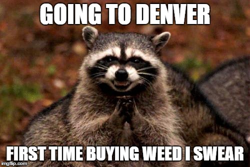 Evil Plotting Raccoon | GOING TO DENVER FIRST TIME BUYING WEED I SWEAR | image tagged in memes,evil plotting raccoon | made w/ Imgflip meme maker