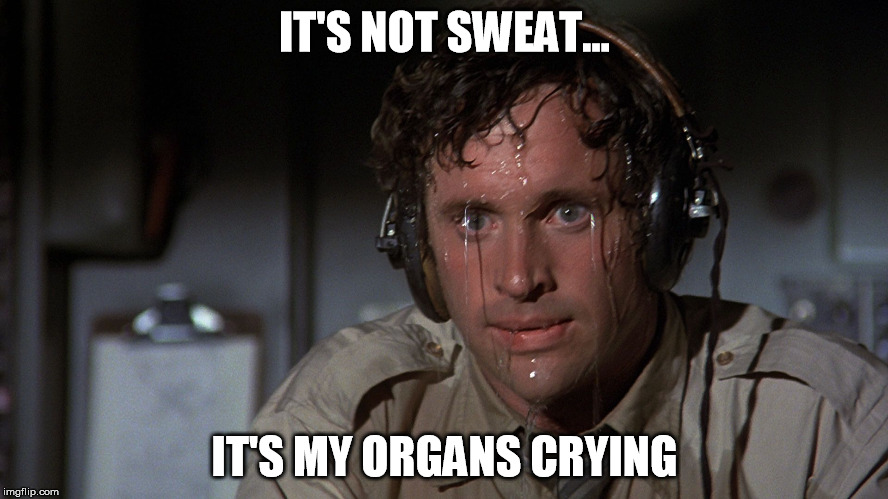 Airplane | IT'S NOT SWEAT... IT'S MY ORGANS CRYING | image tagged in airplane | made w/ Imgflip meme maker