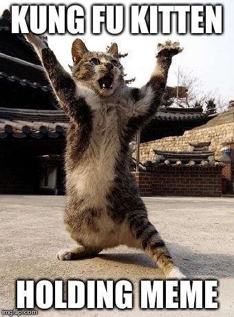 kung fu kitten | KUNG FU KITTEN HOLDING MEME | image tagged in kung fu kitten | made w/ Imgflip meme maker