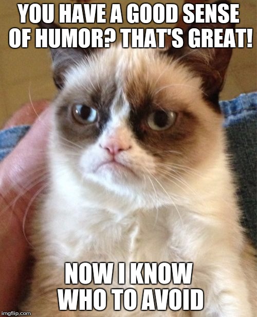 Grumpy Cat | YOU HAVE A GOOD SENSE OF HUMOR? THAT'S GREAT! NOW I KNOW WHO TO AVOID | image tagged in memes,grumpy cat | made w/ Imgflip meme maker