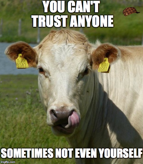 YOU CAN'T TRUST ANYONE SOMETIMES NOT EVEN YOURSELF | image tagged in scumbag | made w/ Imgflip meme maker