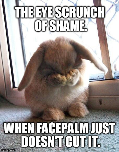 embarrassed bunny | THE EYE SCRUNCH OF SHAME. WHEN FACEPALM JUST DOESN'T CUT IT. | image tagged in embarrassed bunny | made w/ Imgflip meme maker