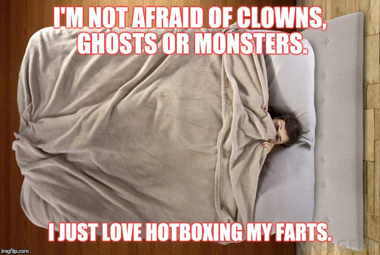 No fear | I'M NOT AFRAID OF CLOWNS, GHOSTS OR MONSTERS. I JUST LOVE HOTBOXING MY FARTS. | image tagged in farts,fear,ghost,monsters,funny,meme | made w/ Imgflip meme maker