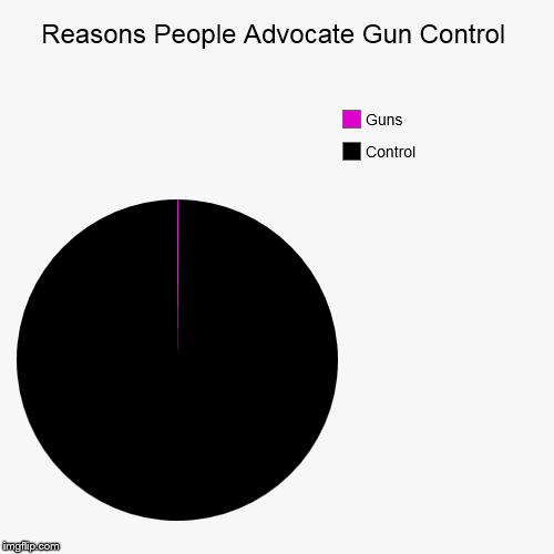 Gun Control | image tagged in funny,pie charts,gun control | made w/ Imgflip chart maker