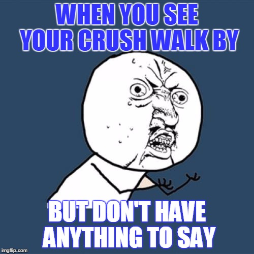 Y U No Meme | WHEN YOU SEE YOUR CRUSH WALK BY BUT DON'T HAVE ANYTHING TO SAY | image tagged in memes,y u no | made w/ Imgflip meme maker