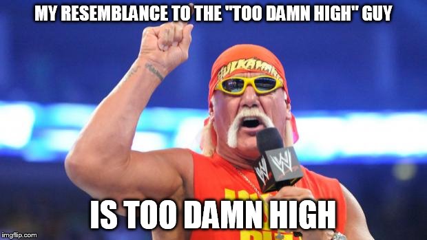 too damn high | MY RESEMBLANCE TO THE "TOO DAMN HIGH" GUY IS TOO DAMN HIGH | image tagged in hulk hogan,too damn high | made w/ Imgflip meme maker