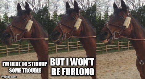Stirrup some trouble | I'M HERE TO STIRRUP SOME TROUBLE BUT I WON'T BE FURLONG | image tagged in scopus,horse,pun,stirrup,furlong | made w/ Imgflip meme maker