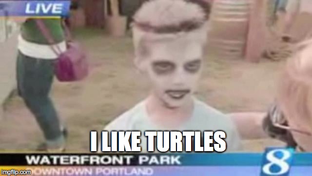 I LIKE TURTLES | made w/ Imgflip meme maker